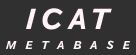 ICAT Metabase